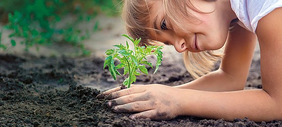 © yanadjan/AdobeStock yanadjan_AdobeStock_331906529.jpg