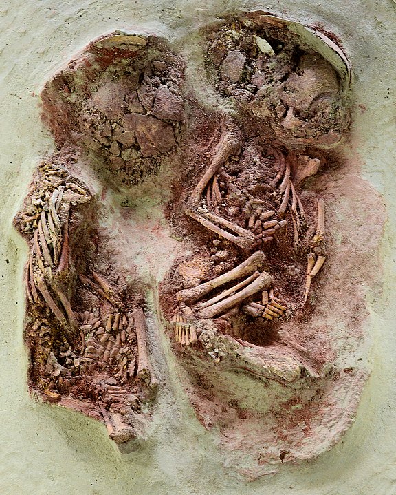 Abbildung: Skelette der steinzeitlichen Zwillinge